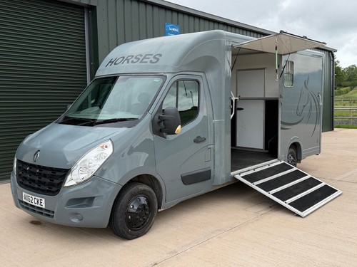 Renault master horse box - ,
