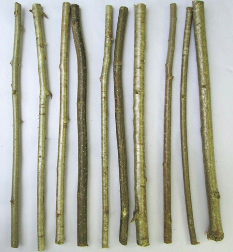 10x 40cm natural english - 10x,