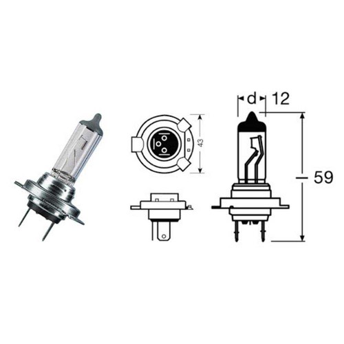 Lamp 12v 55w - lamp, suzuki