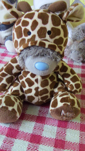 You tatty teddy - you, 8"