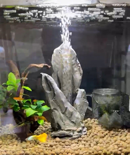Biorb 30l acrylic flow - 30l,