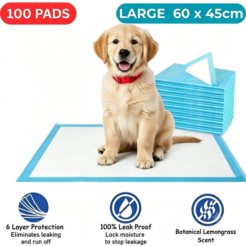 100 large puppy training - puppy,