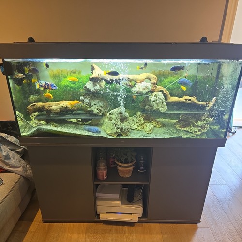 5ft juwel rio - juwel, 450