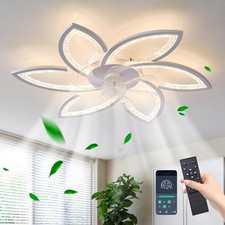 LED Ceiling Fan Light Modern