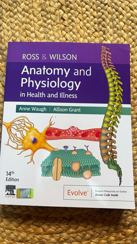 Ross wilson anatomy - &, &