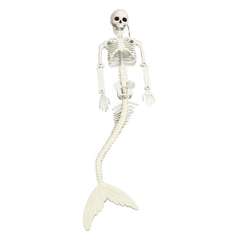 Life size skeleton - life, halloween
