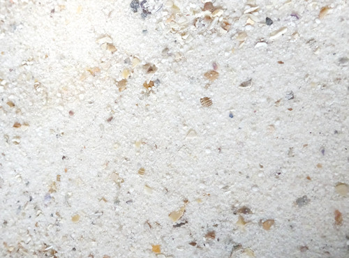 Zen garden white oyster - zen,