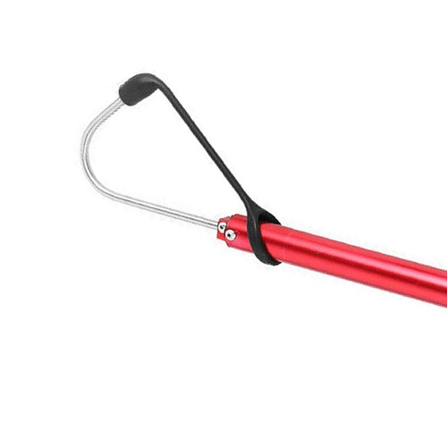 Telescopic fishing gaff - telescopic,