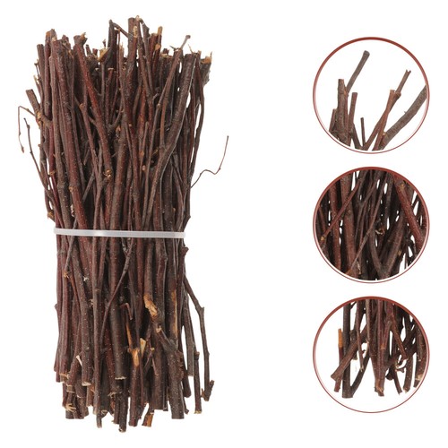 Craft twigs branch willow - craft,