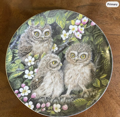Wedgwood the baby owls - owls, plate
