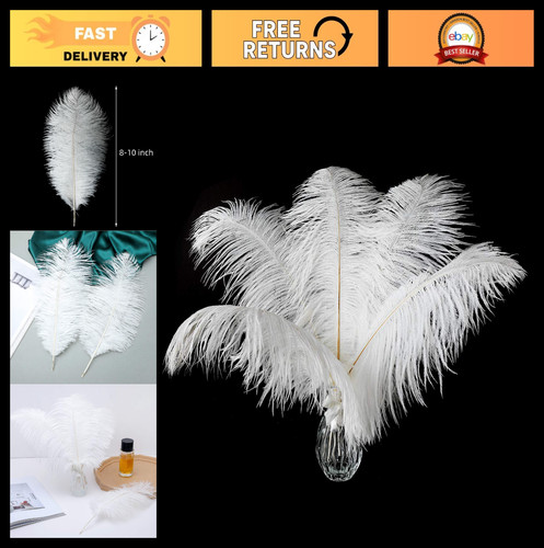 Large white ostrich feathers - white,