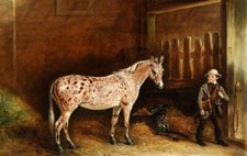 Dream-art Oil painting John-E-Ferneley-I-A-Strawberry-Roan-Mule-and-Two-Lurchers