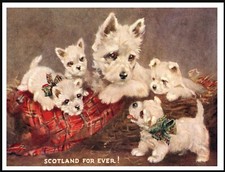 WESTIE WEST HIGHLAND WHITE TERRIER & PUPS VINTAGE STYLE DOG ART PRINT POSTER