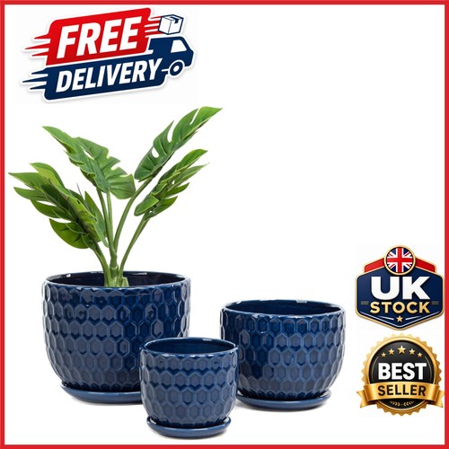Indoor succulent planters set - succulent,