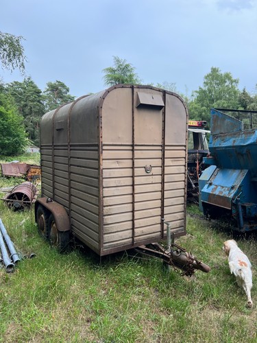 Rice livestock horse - rice, trailer