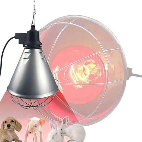 Infrared heat lamp poultry - infrared,