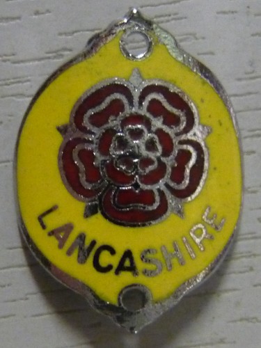 Walking stick badge with pins - stick,
