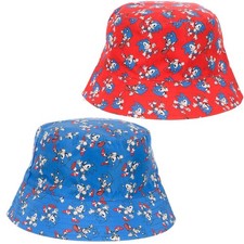 Sonic the Hedgehog Bucket