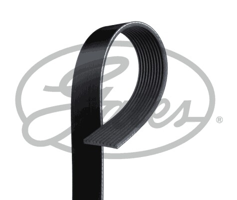 Ribbed belt 1865153 - v-ribbed, 21531751