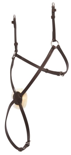 Collegiate equestrian mono - equestrian,