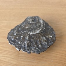 Antique French metal Oyster Shell dresser Trinket Box.