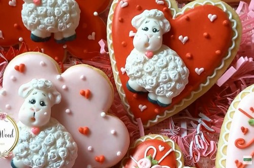 Katy sue little lamb sheep - lamb,