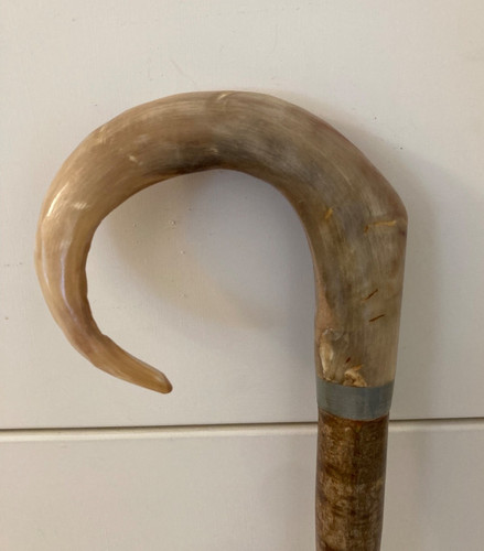 Rams horn crook handle stick - rams,
