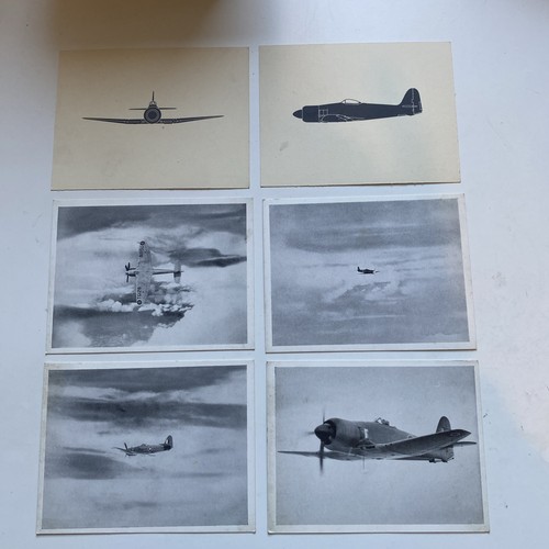 Sea fury mk10 roc - x,