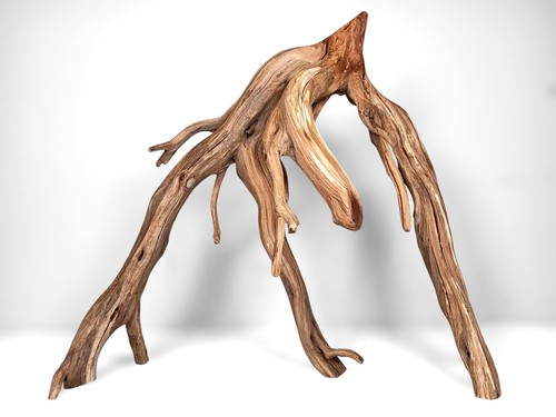 Manzanita driftwood - 24",