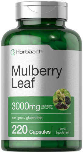 Mulberry leaf extract - leaf,