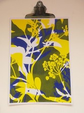 NEW Limited Edition A3