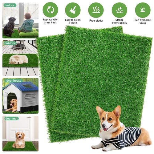 Pack puppy potty pad grass - puppy,