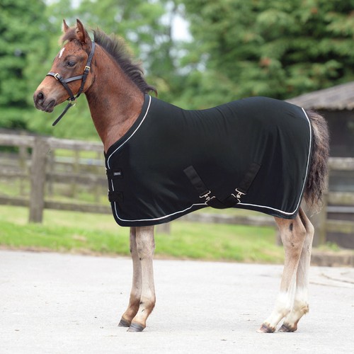 Masta fleece foal miniature - masta,