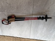 Black Diamond Trail Flicklock