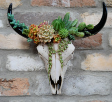 Floral Animal Skull with