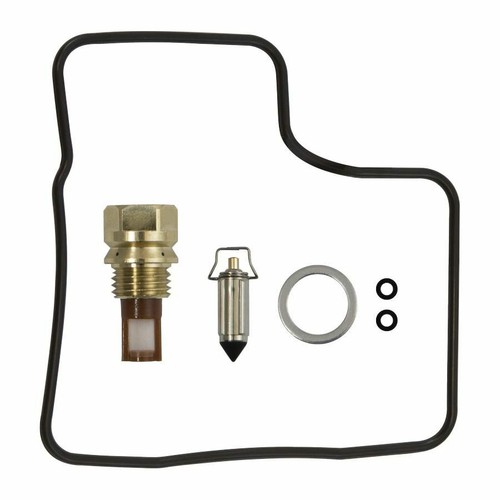 Carburetor repair kit - carburetor,