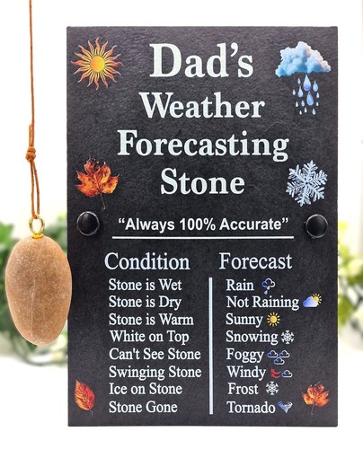 Funny weather forecasting - weather,