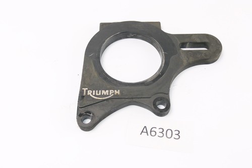 Triumph speed triple 955i - speed, 595n