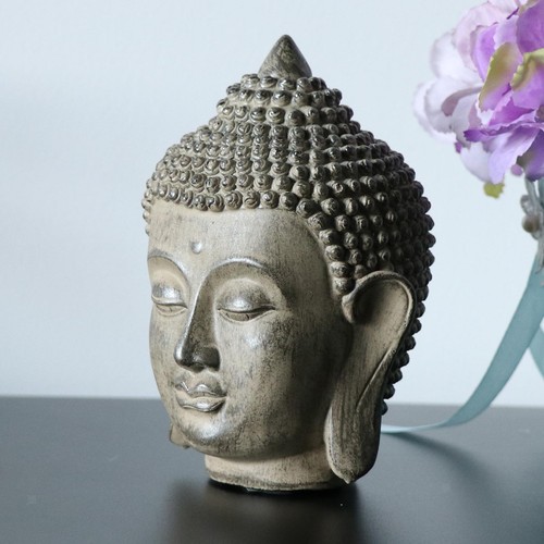 Gather buddha head statue - buddha,