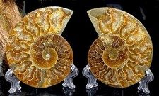 Large 330g Madagascan Matching