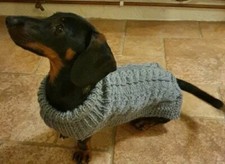 Miniature Dachshund/Sausage