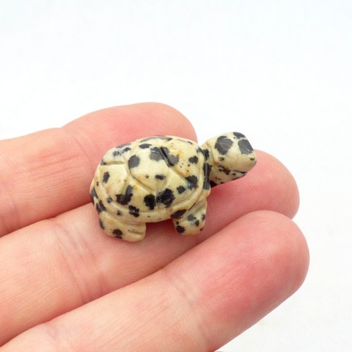 Gemstone tortoise hand carved - hand,