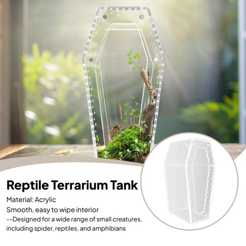Transparent acrylic spider - transparent,