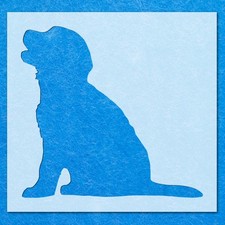 Golden Retriever Puppy