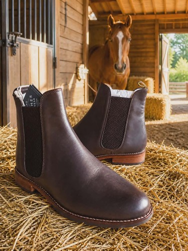 Joules westbourne ladies dark - ladies,