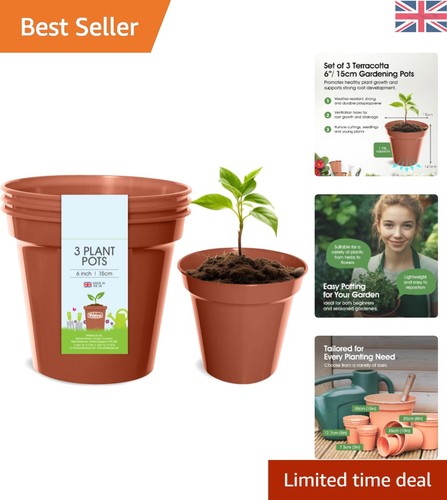 Classic terracotta planters - terracotta,