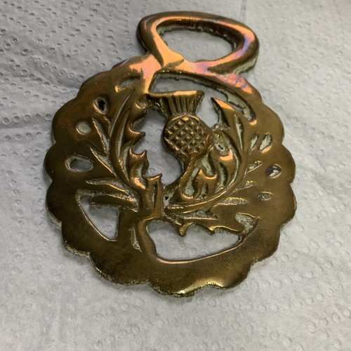 Horse brass scottish - brass, thistle