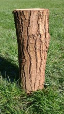 Small oak log side table