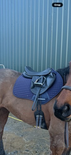 Inch jump saddle premier - inch,