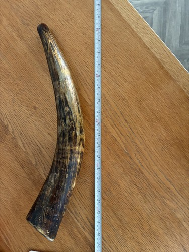 19th century scottish hunting - 19th,